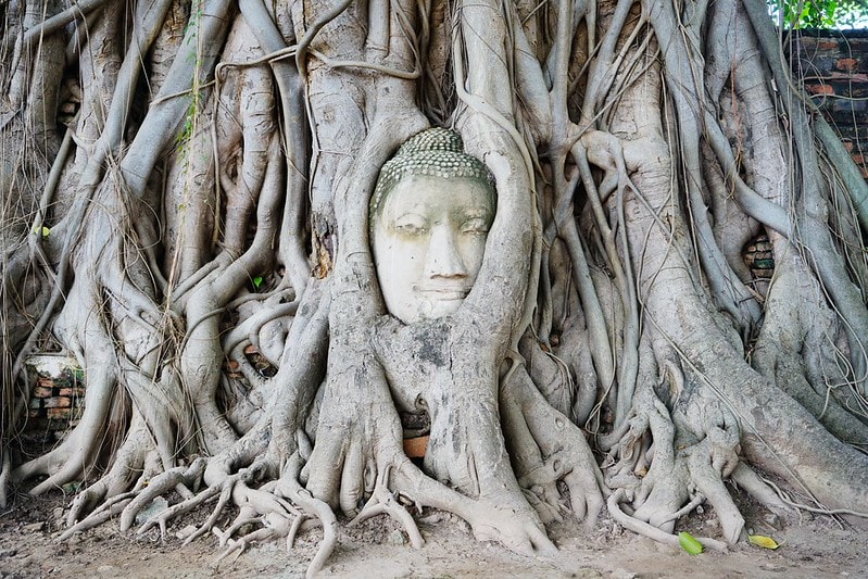 20251102-1s35z 20251102-1s35z