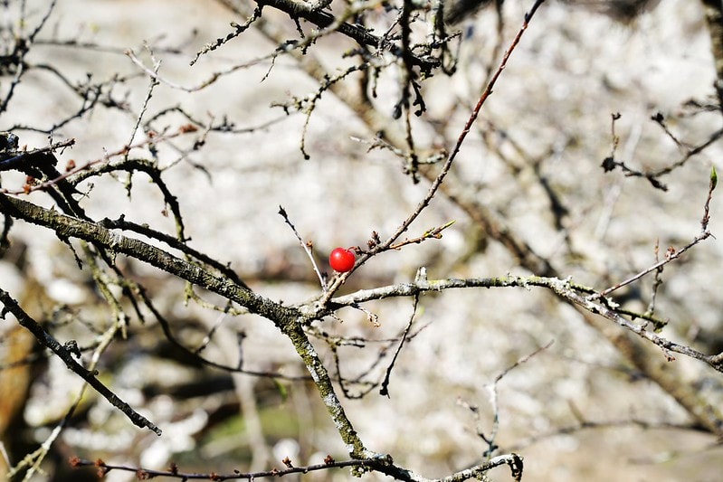 20251102-1tro6 20251102-1tro6