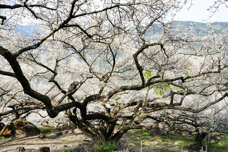 20251102-27o8d 20251102-27o8d