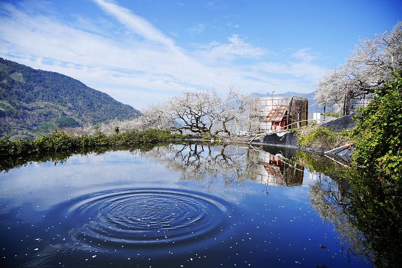 20251102-2q2ln 20251102-2q2ln