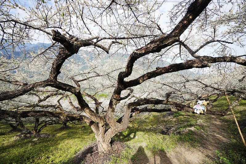 20251102-487fn 20251102-487fn