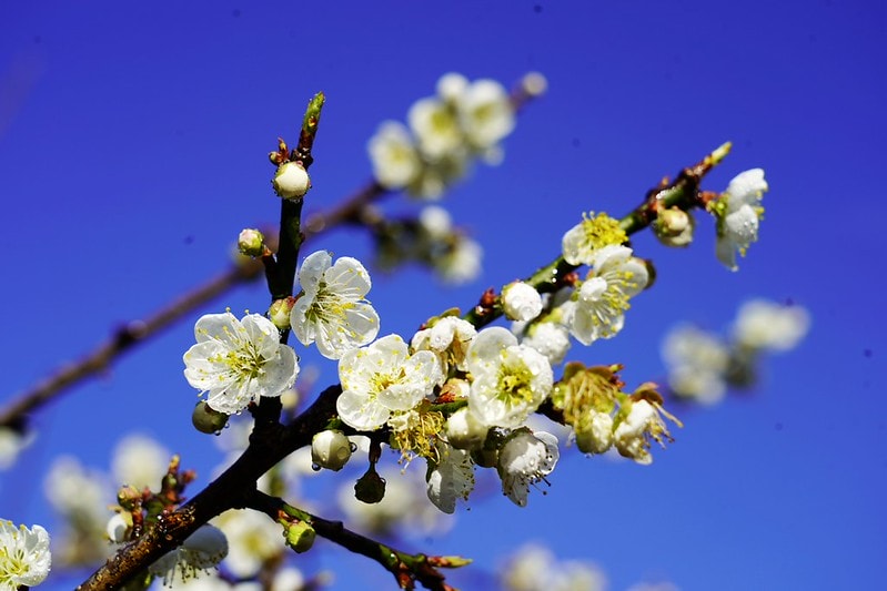 20251102-5jmcs 20251102-5jmcs