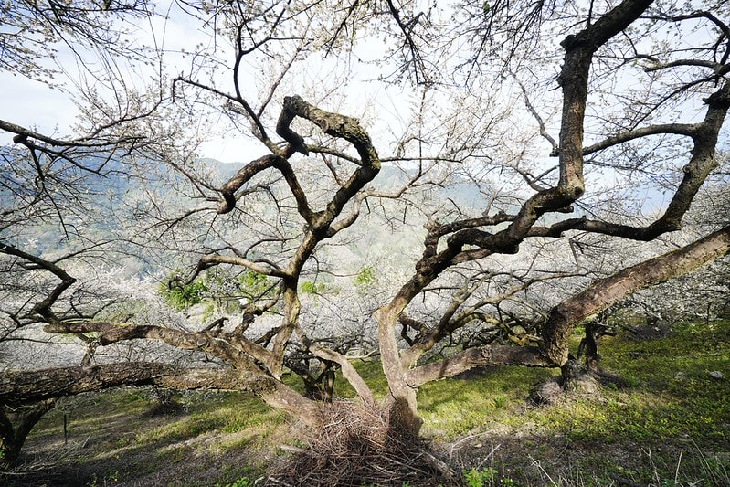 20251102-5wjqq 20251102-5wjqq