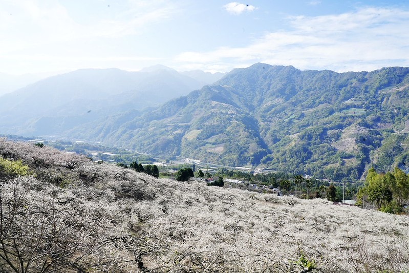 20251102-6foyl 20251102-6foyl