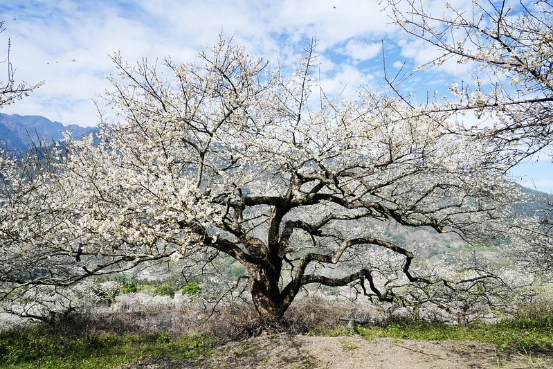 20251102-84e4a 20251102-84e4a