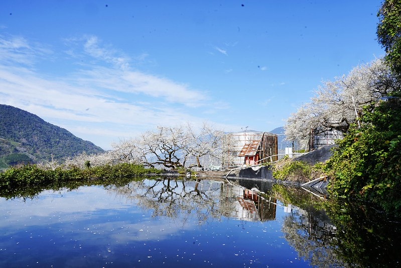 20251102-86goo 20251102-86goo