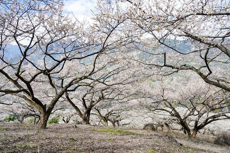 20251102-8qakm 20251102-8qakm