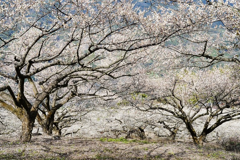 20251102-9b1ng 20251102-9b1ng