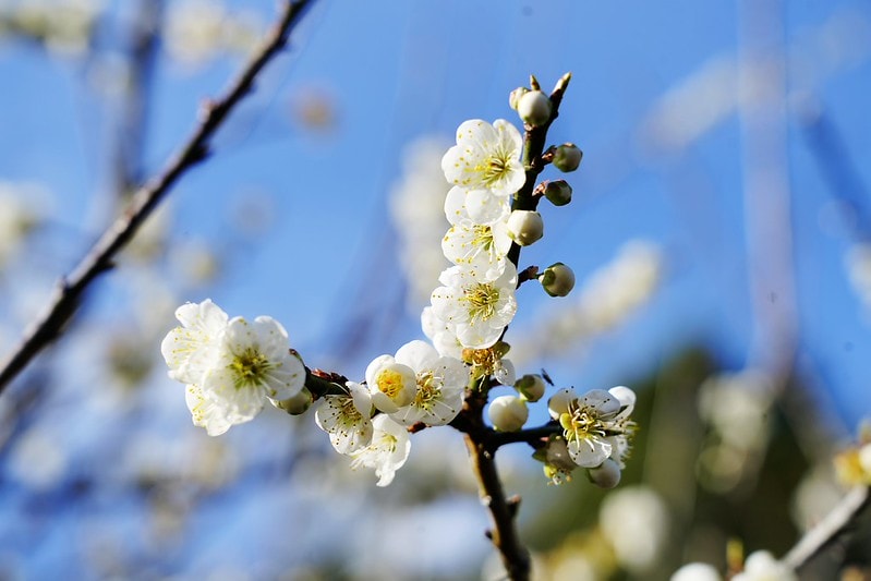 20251102-aod13 20251102-aod13