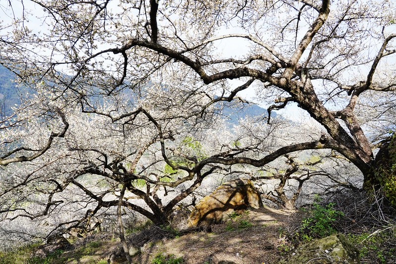 20251102-ath3h 20251102-ath3h