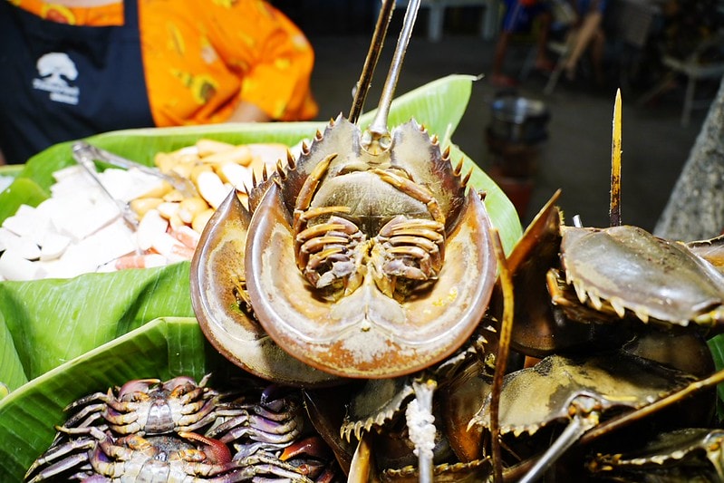 20251102-bpg0n 20251102-bpg0n