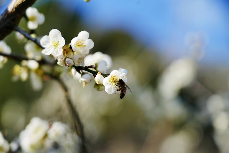 20251102-d73wt 20251102-d73wt