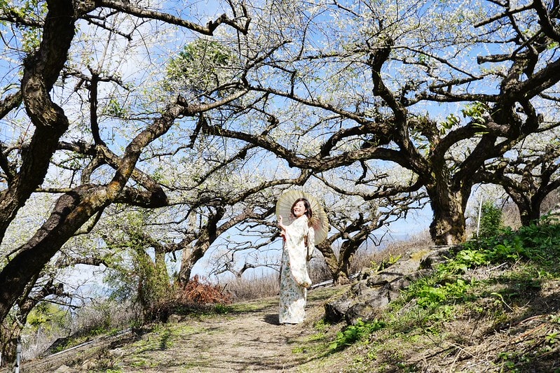 20251102-dceto 20251102-dceto