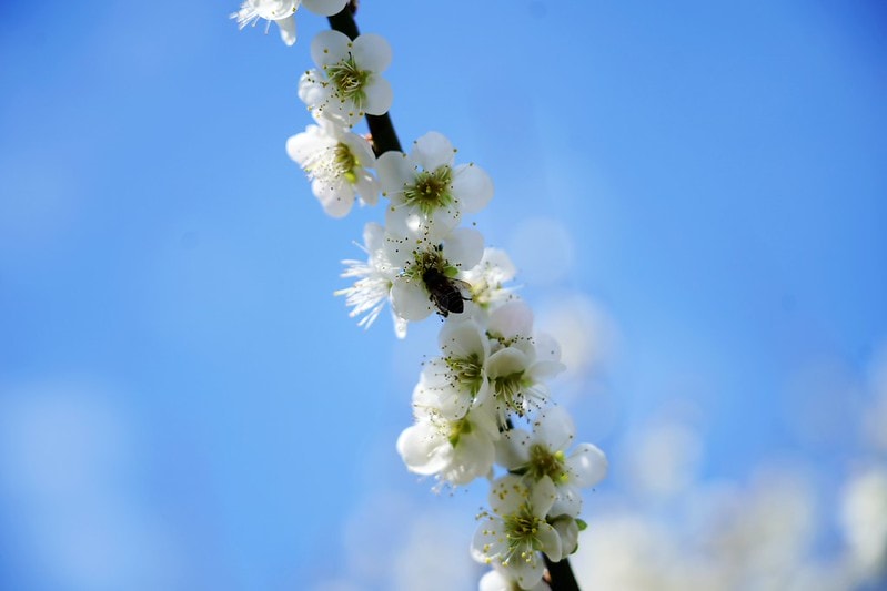 20251102-gqvz7 20251102-gqvz7