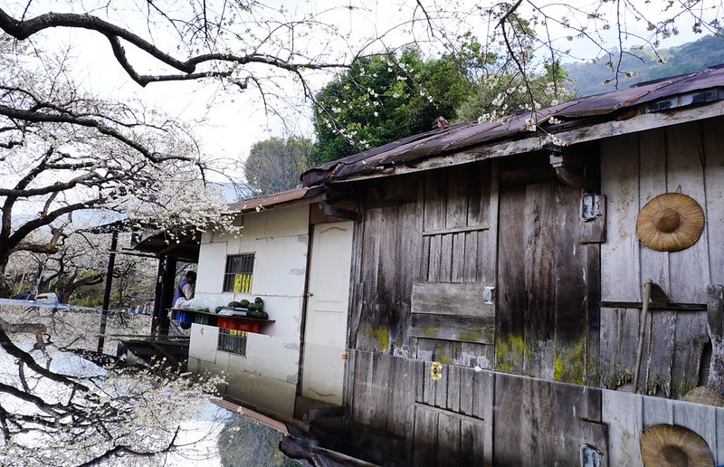 20251102-gvl32 20251102-gvl32