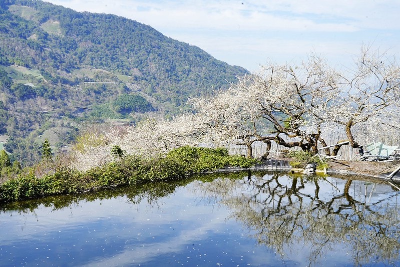 20251102-hen7n 20251102-hen7n