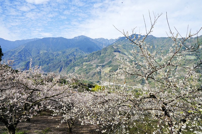 20251102-icg2c 20251102-icg2c