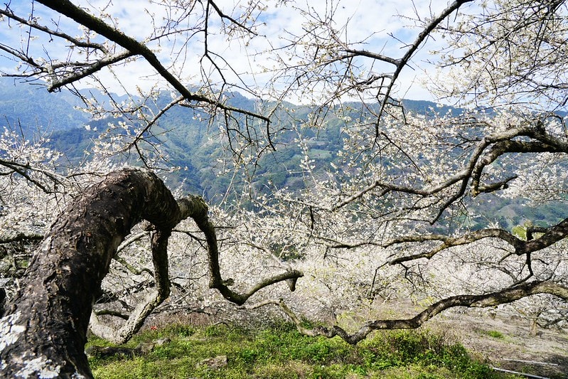 20251102-isgfa 20251102-isgfa