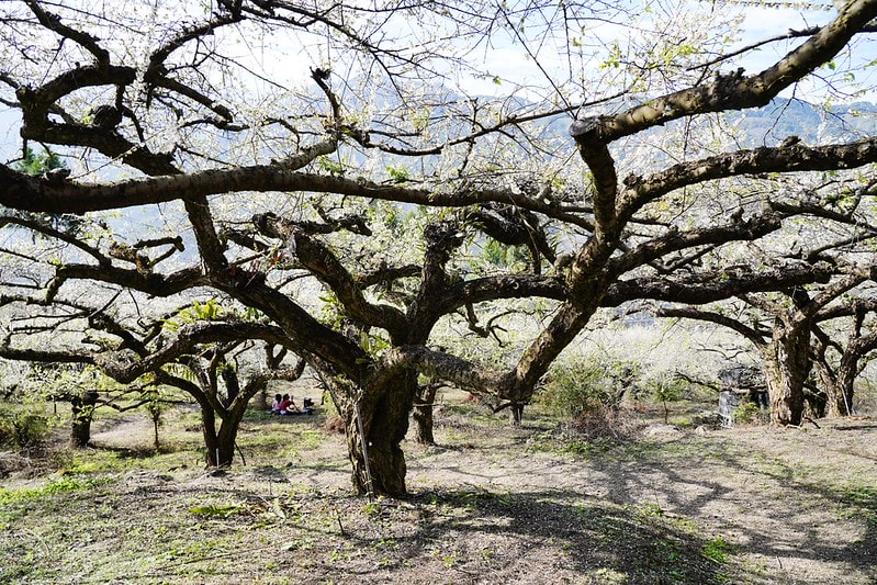 20251102-jvvmx 20251102-jvvmx