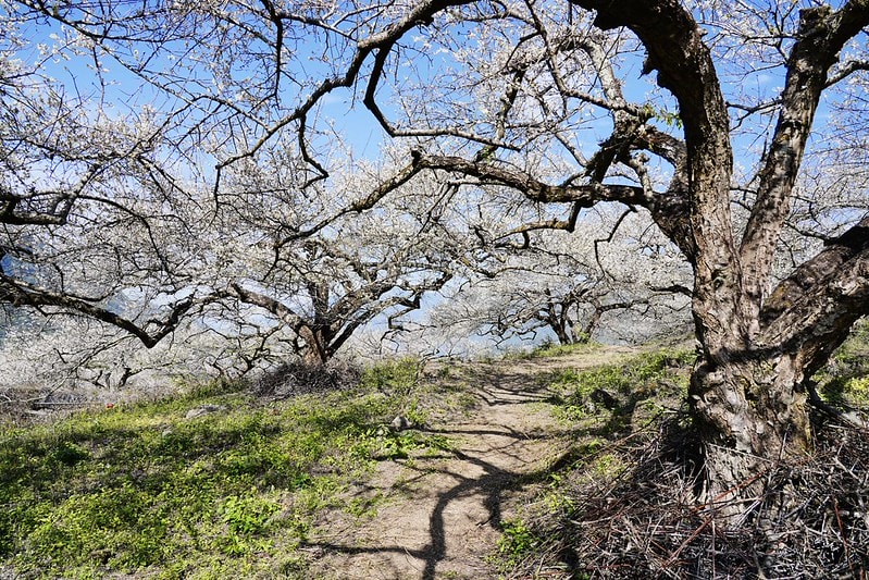 20251102-k0fgf 20251102-k0fgf