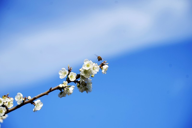 20251102-k7738 20251102-k7738