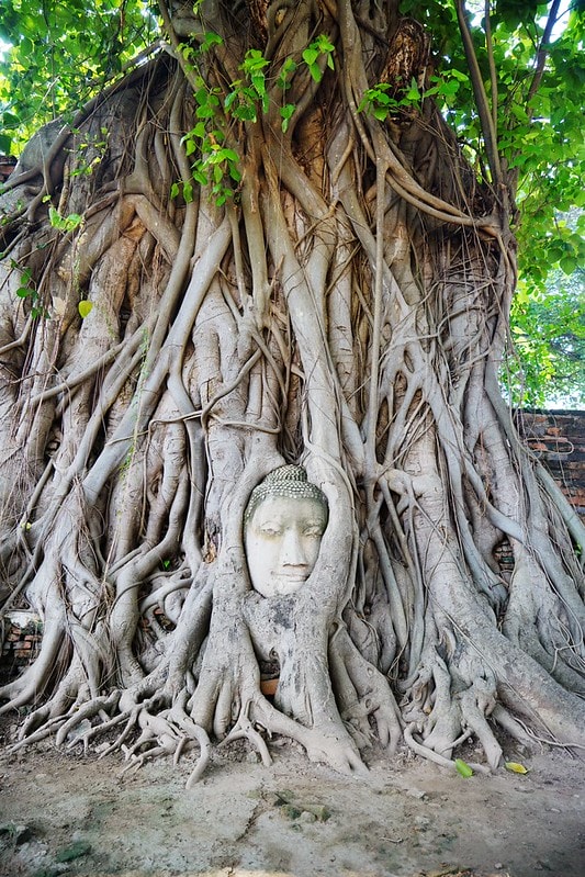 20251102-k7o5b 20251102-k7o5b