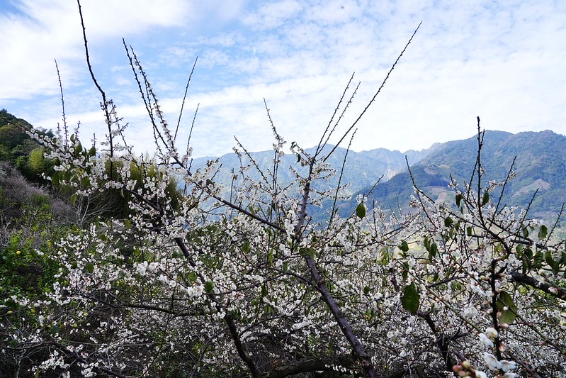 20251102-n53fb 20251102-n53fb