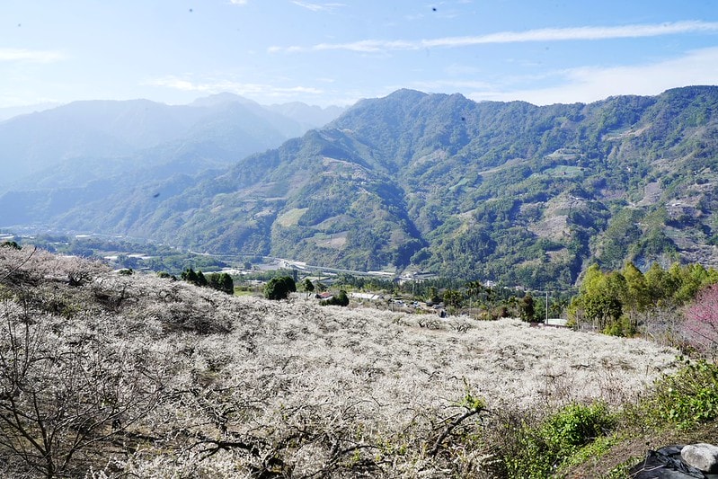 20251102-nythj 20251102-nythj