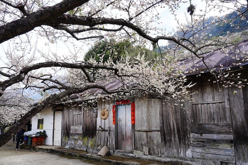 20251102-q7x4u 20251102-q7x4u