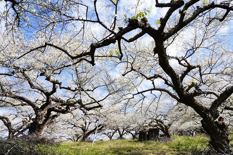 20251102-qajgl 20251102-qajgl