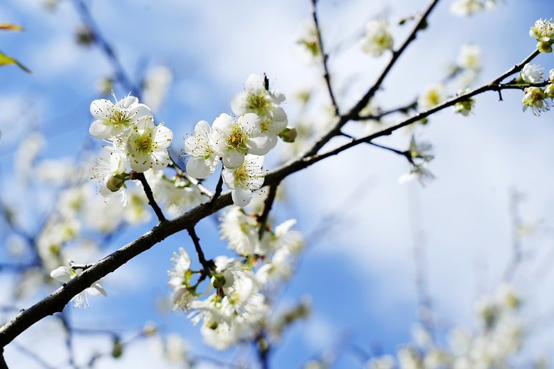 20251102-r0591 20251102-r0591