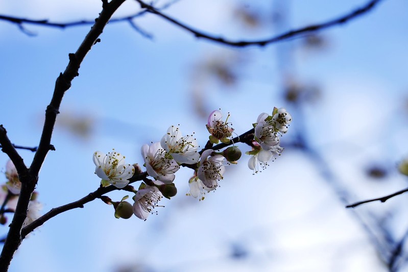 20251102-tbue7 20251102-tbue7