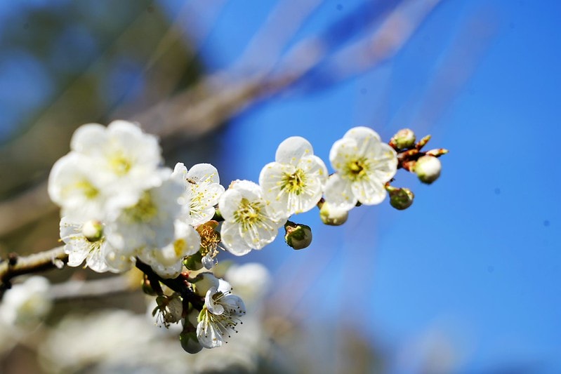 20251102-ttqe1 20251102-ttqe1