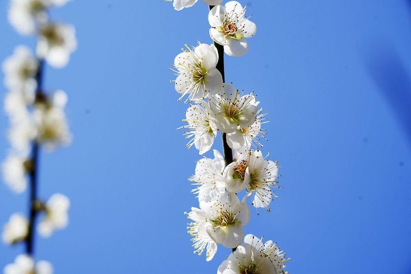 20251102-tufng 20251102-tufng