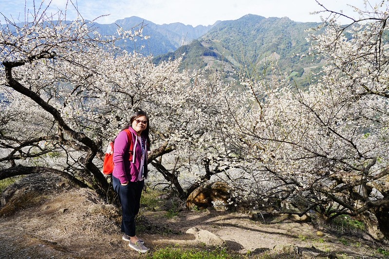 20251102-tyse5 20251102-tyse5