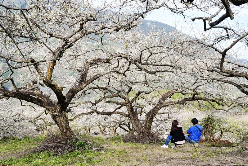 20251102-u1zv3 20251102-u1zv3