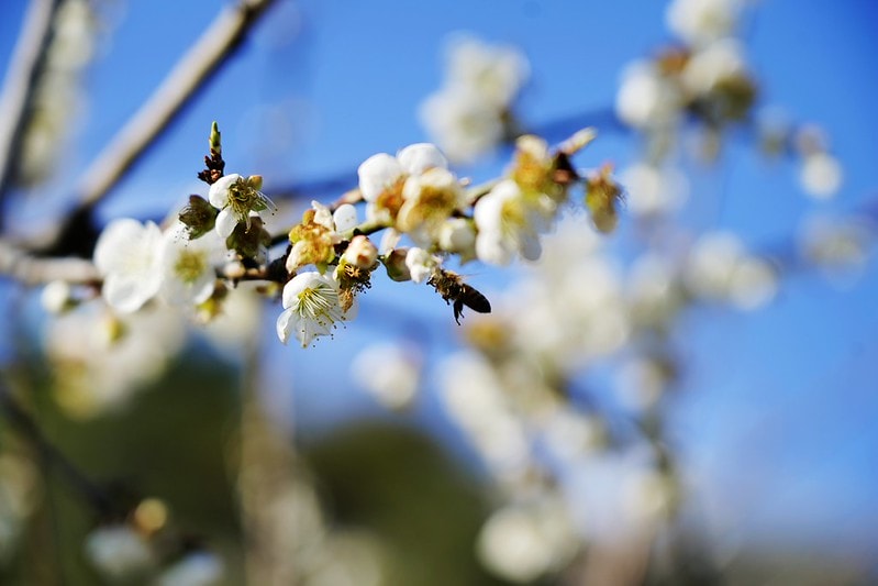 20251102-udr50 20251102-udr50