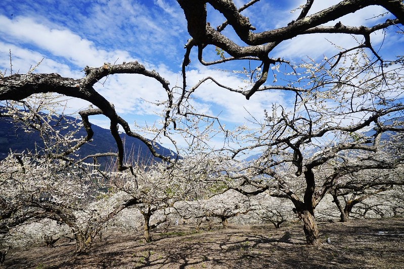 20251102-usfvq 20251102-usfvq