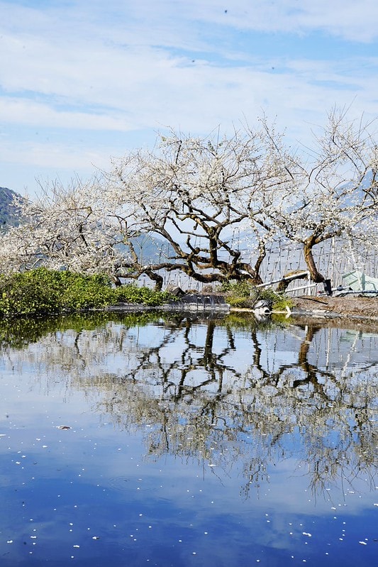 20251102-vc3xb 20251102-vc3xb