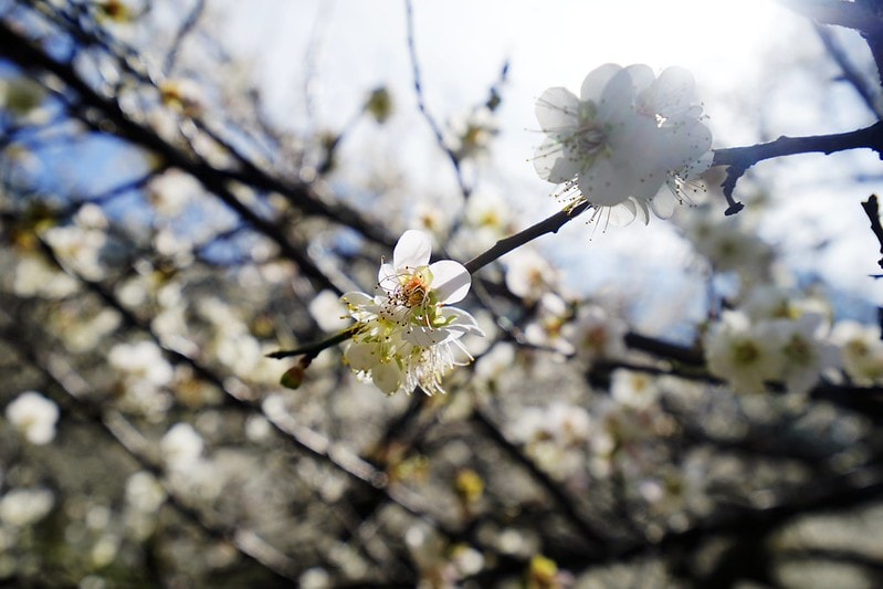 20251102-w0zdi 20251102-w0zdi