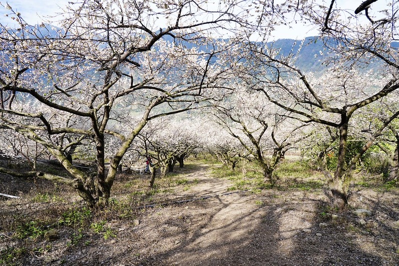 20251102-xwuap 20251102-xwuap