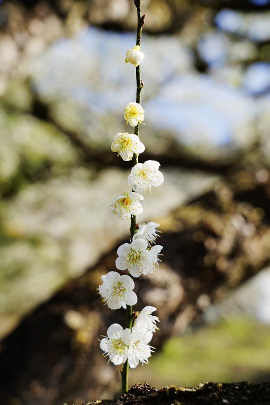 20251102-z001d 20251102-z001d