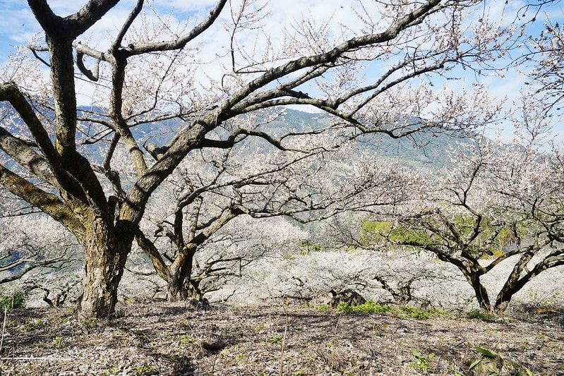 20251102-zvduo 20251102-zvduo