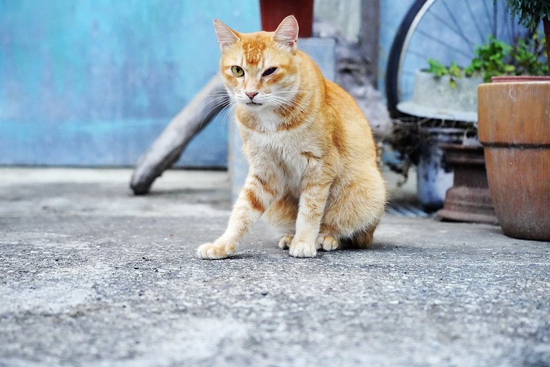 20251102-8uoxf 20251102-8uoxf