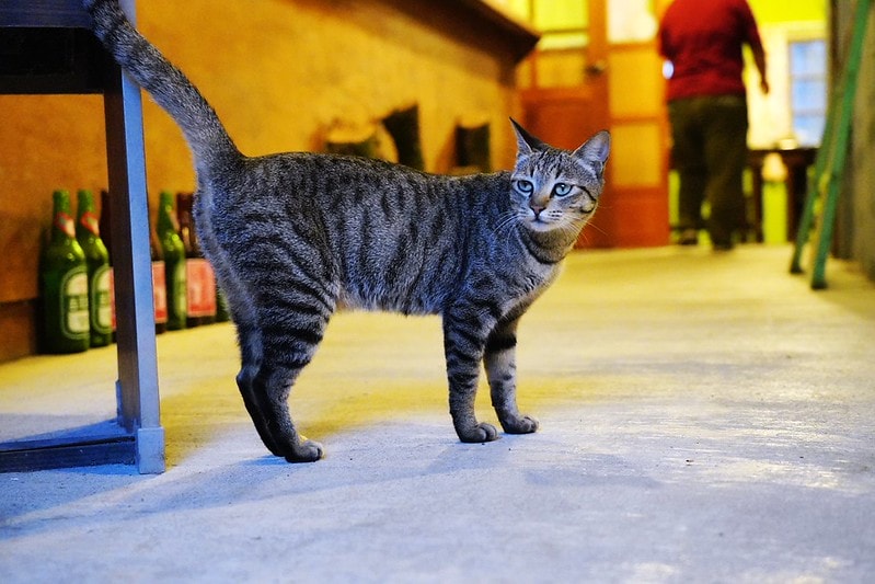 20251102-ie7id 20251102-ie7id