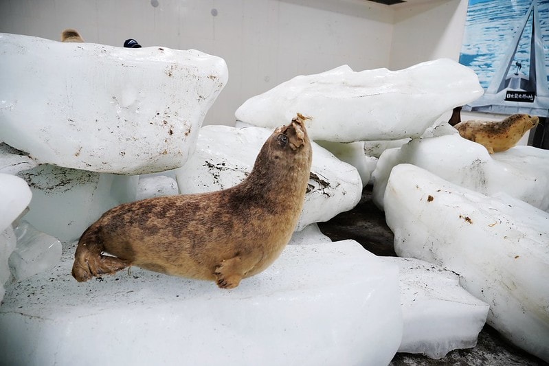 20251102-7ums6 20251102-7ums6