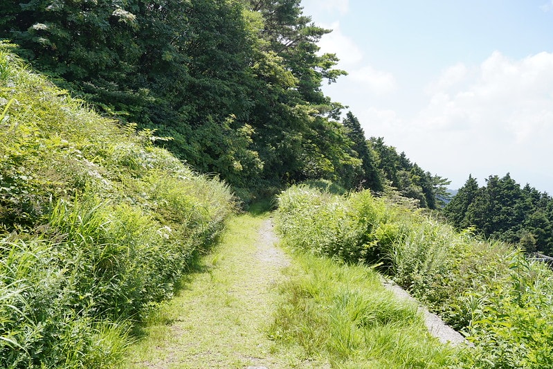 20251102-f81p1 20251102-f81p1