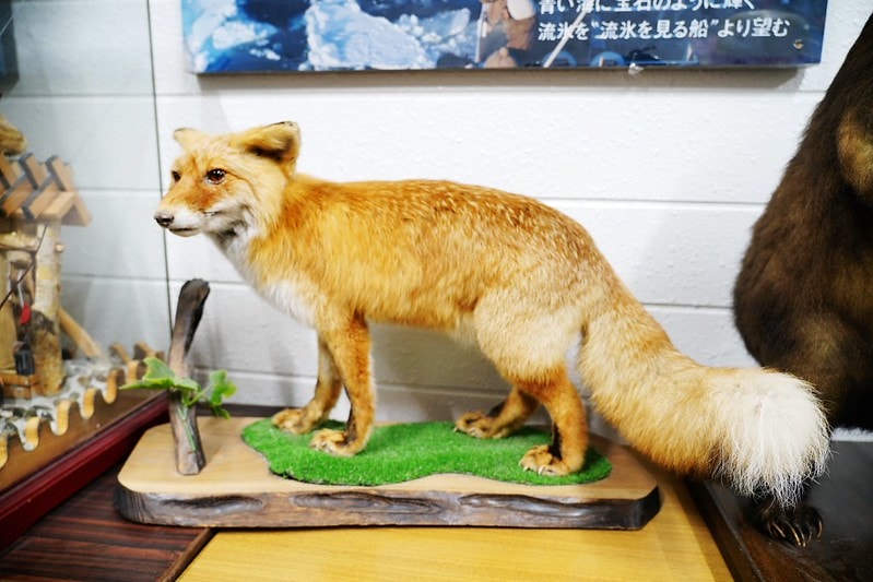 20251102-m3x7d 20251102-m3x7d