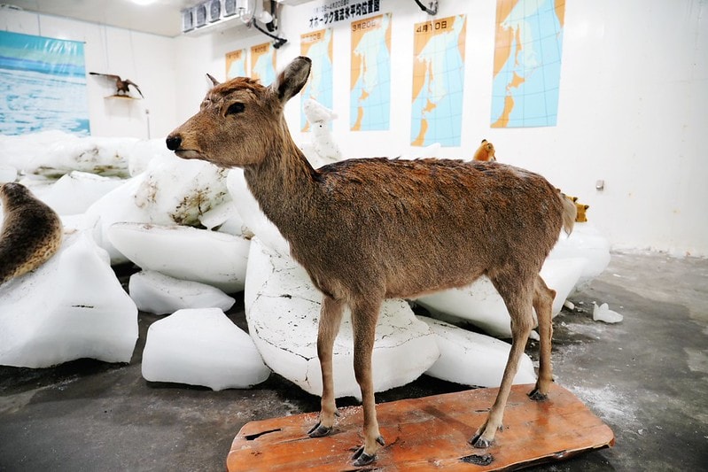 20251102-zt4c6 20251102-zt4c6