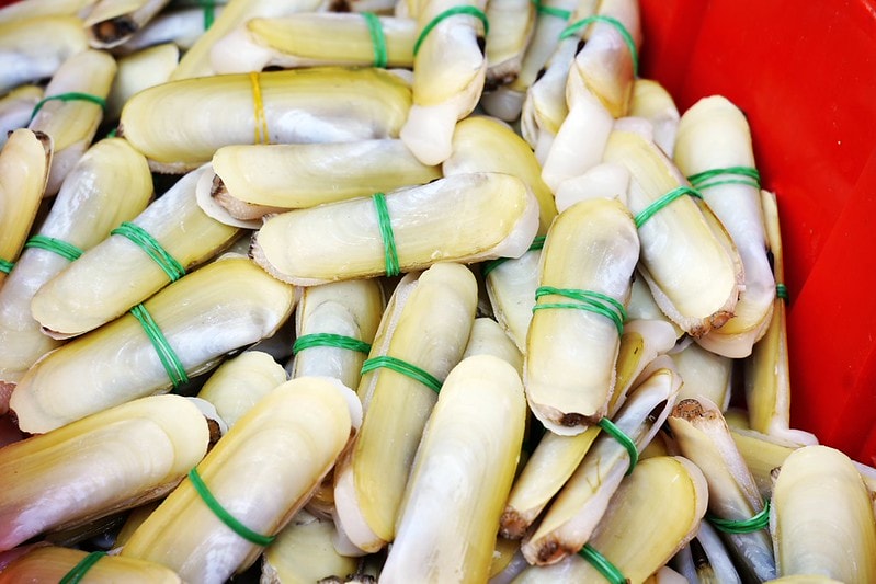 20251102-391oj 20251102-391oj